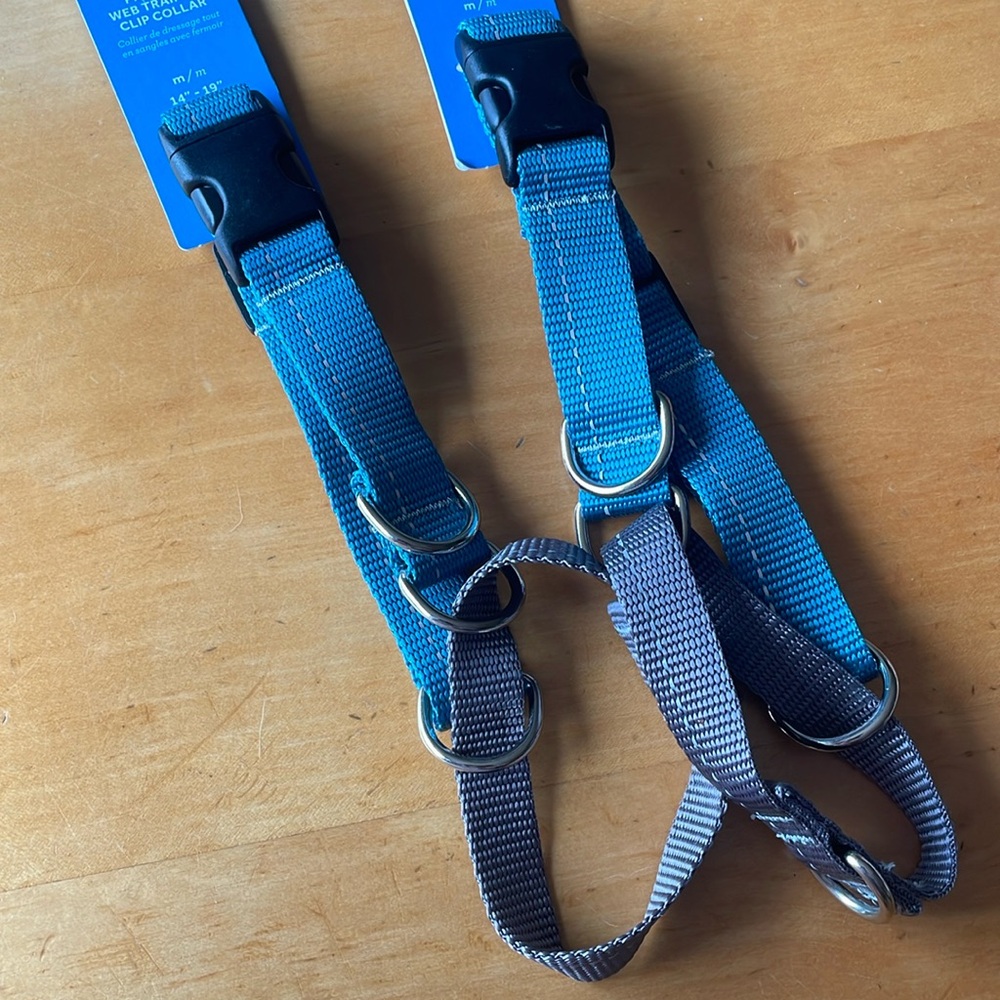 RC Pets martingale clip collar 14”-19” (medium)